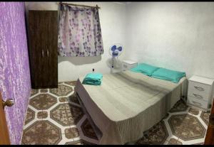 帕爾克德爾普拉塔的住宿－Casa as palmas，一间卧室配有一张带蓝色枕头的床。