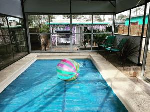 帕爾克德爾普拉塔的住宿－Casa as palmas，一个带沙滩球的游泳池