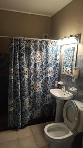uma casa de banho com um WC e uma cortina de chuveiro em Apart tigre 4 em Tigre