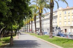 a street lined with palm trees next to a building at Scoglio della Regina, NUOVO, fronte mare, vicino al porto in Livorno