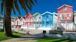 a row of colorful houses on a street with a palm tree at HOME FAMILY's AVEIRO in Gafanha da Nazaré