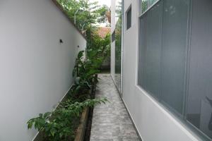 un couloir avec des plantes sur le côté d'un bâtiment dans l'établissement Casa Vista verde, à Tarapoto