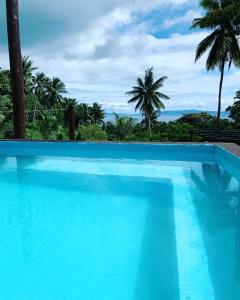 a blue swimming pool with palm trees in the background at Camp Taveuni in Matei