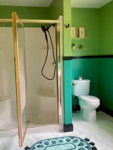 baño verde con aseo y ducha en The Bungalow, en Horseheads