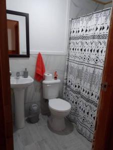 a bathroom with a toilet and a sink and a shower curtain at Cabaña muy cómoda cerca de Saltos del Laja in Cabrero