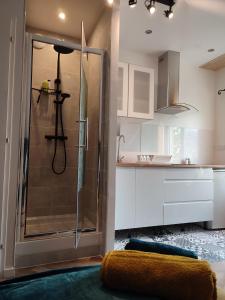 La salle de bains est pourvue d'une douche avec une porte en verre. dans l'établissement 4 studios - Musique en Champagne, à Châlons-en-Champagne