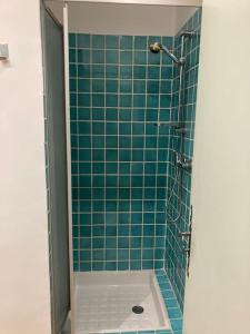 a bathroom with a shower with a green tile wall at La Célestine in Valensole