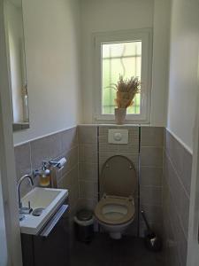 a bathroom with a toilet and a sink and a window at Mayeux in Nances