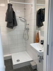 y baño con ducha y lavamanos. en Über den Dächern von Offenbach, en Offenbach