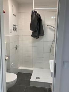 y baño con ducha, aseo y lavamanos. en Über den Dächern von Offenbach, en Offenbach