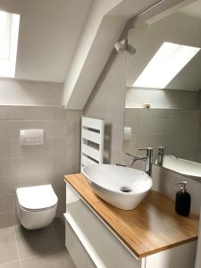 a bathroom with a sink and a toilet at Agro Lux Apartment - Milenović in Soko Banja