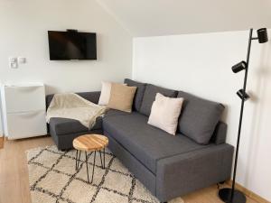 a living room with a gray couch and a tv at Agro Lux Apartment - Milenović in Soko Banja