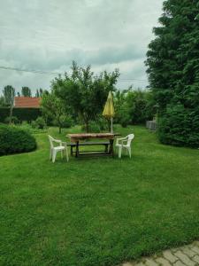 Zahrada ubytování Ibolya Apartman
