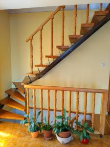 Fotografie z fotogalerie ubytování Ibolya Apartman v destinaci Badacsony