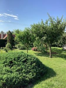 Zahrada ubytování Ibolya Apartman