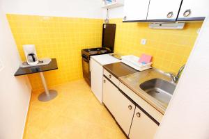 Kuchyň nebo kuchyňský kout v ubytování Apartments Dubravka