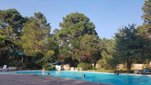 Bazén v ubytování Camping Mulinacciu nebo v jeho okolí