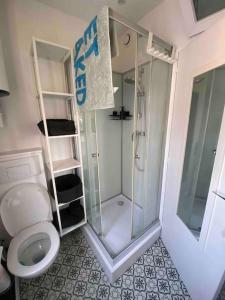 a bathroom with a shower and a toilet at Appartement studio proche Paris 14, Paris 15 in Malakoff