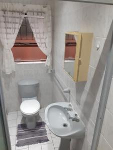 a small bathroom with a toilet and a sink at JT Surfhouse in Jeffreys Bay