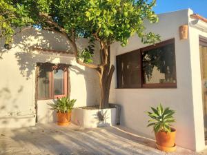 Imagen de la galería de Casa Venus, en Sabinosa