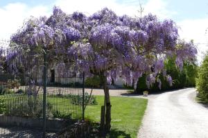 Foto da galeria de Le Clos des Perraudières em Cour-Cheverny