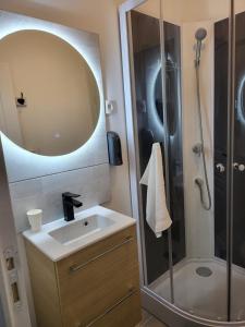 a bathroom with a sink and a shower with a mirror at Studio proche gare Vernon Giverny avec parking gratuit in Vernon