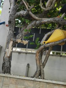 Gallery image of la baracca dei pescatori in Follonica