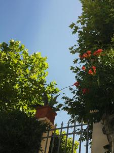 Gallery image of la baracca dei pescatori in Follonica