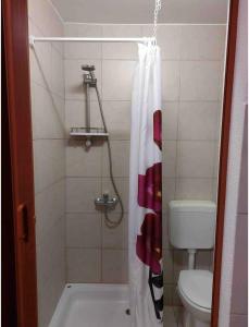 y baño con aseo y cortina de ducha. en Sandra Apartmani 3 en Zaostrog