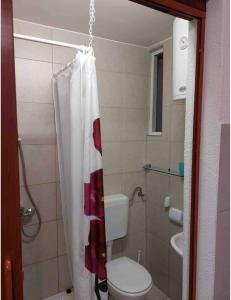 y baño con aseo y cortina de ducha. en Sandra Apartmani 3 en Zaostrog
