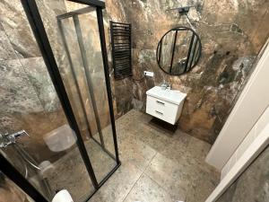 W łazience znajduje się prysznic, umywalka i lustro. w obiekcie Villa PANDA HOUSE in Klaipeda w Kłajpedzie