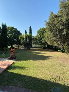 einen großen Garten mit Bäumen und einem Grasfeld in der Unterkunft casaluna in Suvereto