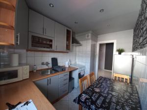 Kuchyňa alebo kuchynka v ubytovaní Apartament na Podwalu