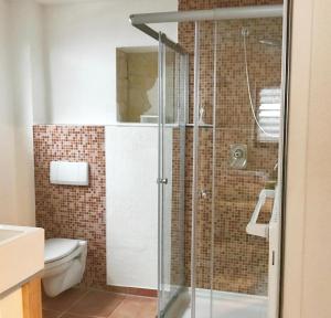 un baño con ducha y WC en Ferienapartment Laufen an der Eyach, en Albstadt