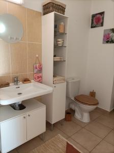 uma casa de banho com um lavatório e um WC em Appartement T2 bord de mer/piscines em Moriani Plage