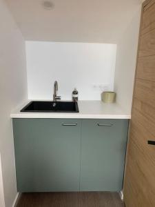 a white kitchen with a sink and a counter at Appartement - Galerie BOTANIC ART Trentemoult in Rezé