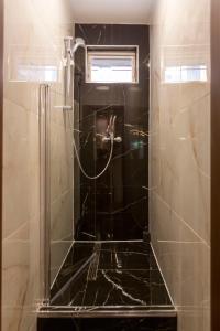 La salle de bains est pourvue d'une douche avec une porte en verre. dans l'établissement Stylish Quentin Apartment in the King Street, à Budapest