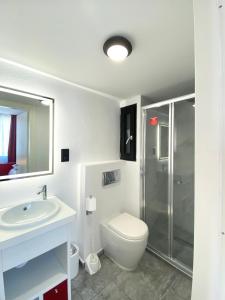 a bathroom with a toilet and a sink and a shower at Citizen Suites in Sliema