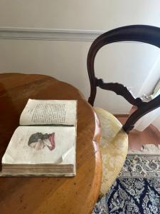 un libro sobre una mesa de madera en Residenza Dei Ricci, en Chiusi