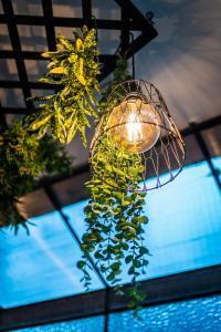 Gallery image of Casa Mojito in Sanremo