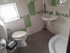 a small bathroom with a toilet and a sink at Casa Octavia in Schitul +25 photos