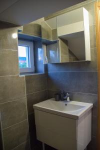 een badkamer met een wastafel en een spiegel bij Apartmani Dina 2 in Posedarje