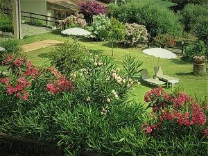 un giardino con fiori e ombrelloni in un cortile di Hotel La Feluca a Portoferraio