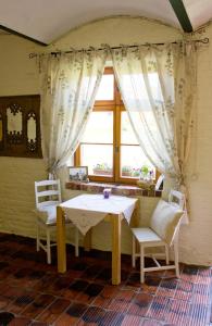 a table and two chairs in a room with a window at An den Elbwiesen GZ FeWo Elbeblick Nur Nichtraucher in Greudnitz