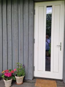 a door to a house with two potted plants at Zalves House in Riga +2 photos