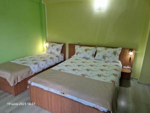 2 Betten in einem Zimmer mit grünen Wänden in der Unterkunft Pensiunea Esential in Ocnele Mari