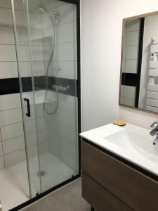 uma casa de banho com uma cabina de duche em vidro e um lavatório. em superbe appartement avec parking à proximité em Sombernon