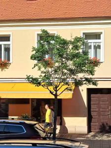 een man die voor een gebouw loopt met een boom bij Gábriel Apartman 2 in Kőszeg