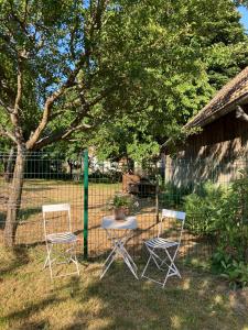 Ogród w obiekcie Gîte du Hibou - jolie dépendance sur verger