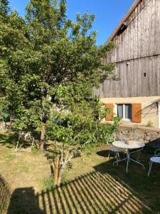 stół i drzewo na podwórku z budynkiem w obiekcie Gîte du Hibou - jolie dépendance sur verger w mieście Muhlbach-sur-Munster